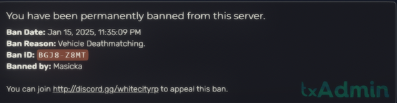 Screenshot 2025-01-25 230640.png