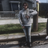 bmf_zay