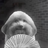 sos_tjay